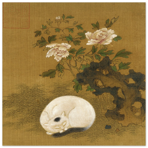 Cat, rock, and peonies