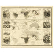 Mammiferous animal distribution old map  poster 1848 by Alexander Keith Johnston