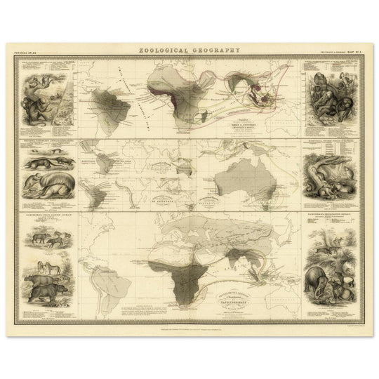 Mammiferous animal distribution old map  poster 1848 by Alexander Keith Johnston