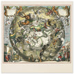 Southern celestial hemisphere with star constellations by Andreas Cellarius.