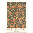 William Morris Cray 1884. Vintage printed cotton  art print.