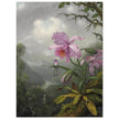 Hummingbird Perched on the Orchid Plant  by Martin Johnson Heade