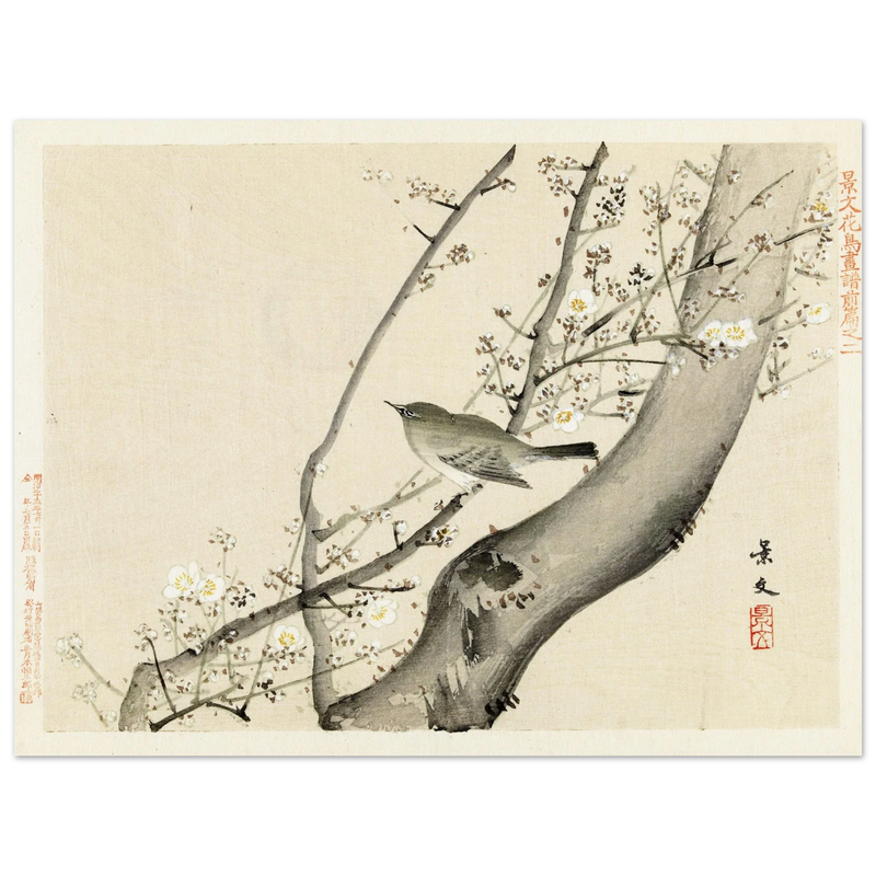 Bird in tree with white blossom by Matsumura Keibun, 1892
