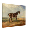 Old painting of brown horse by James Ward 1820.