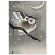 Long-eared owl in ginkgo by Ohara Koson, ,