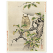 Owl on branch by Kano Tsunenobu, 1893.