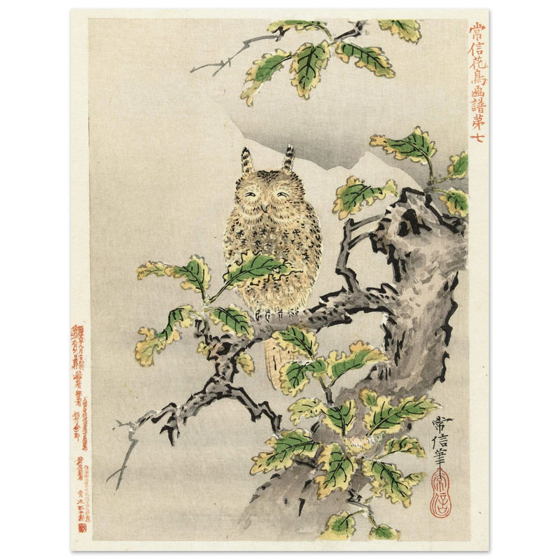 Owl on branch by Kano Tsunenobu, 1893.