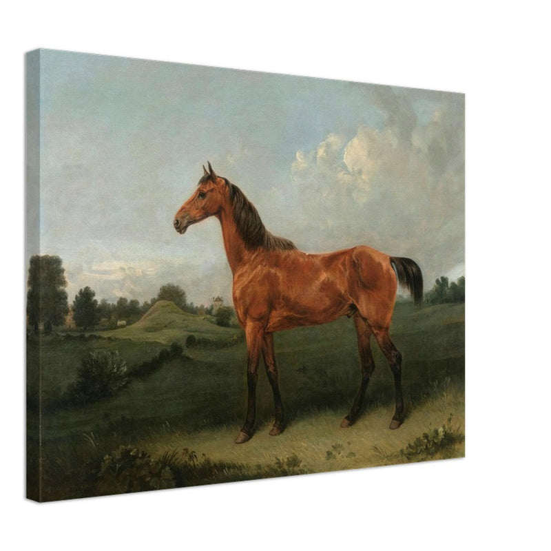 A Bay Horse in a Field by Edmund Bristow old painting 1825.