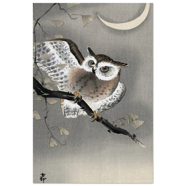 Long-eared owl in ginkgo by Ohara Koson, ,