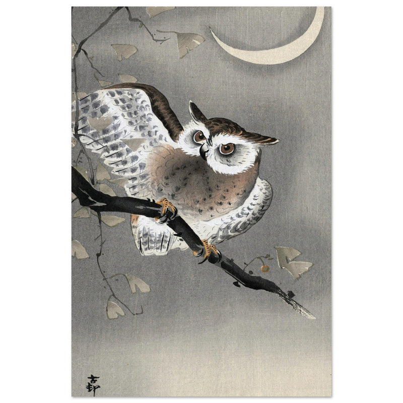 Long-eared owl in ginkgo by Ohara Koson, ,