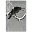 Crow on snowy tree branch by Ohara Koson, ,