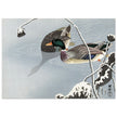 Two Mallards near a Snow-Covered Lotus by Ohara Koson