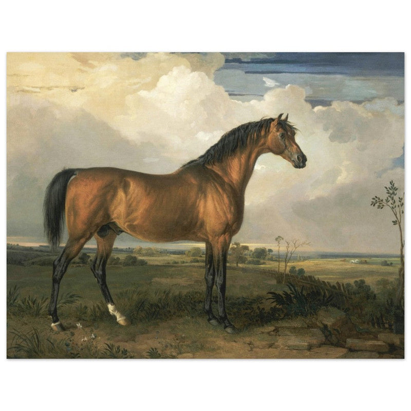 Old painting of a brown horse. Eagle, a Celebrated Stallion by James Ward 1809.