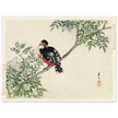 Black-red bird by Matsumura Keibun, 1892.