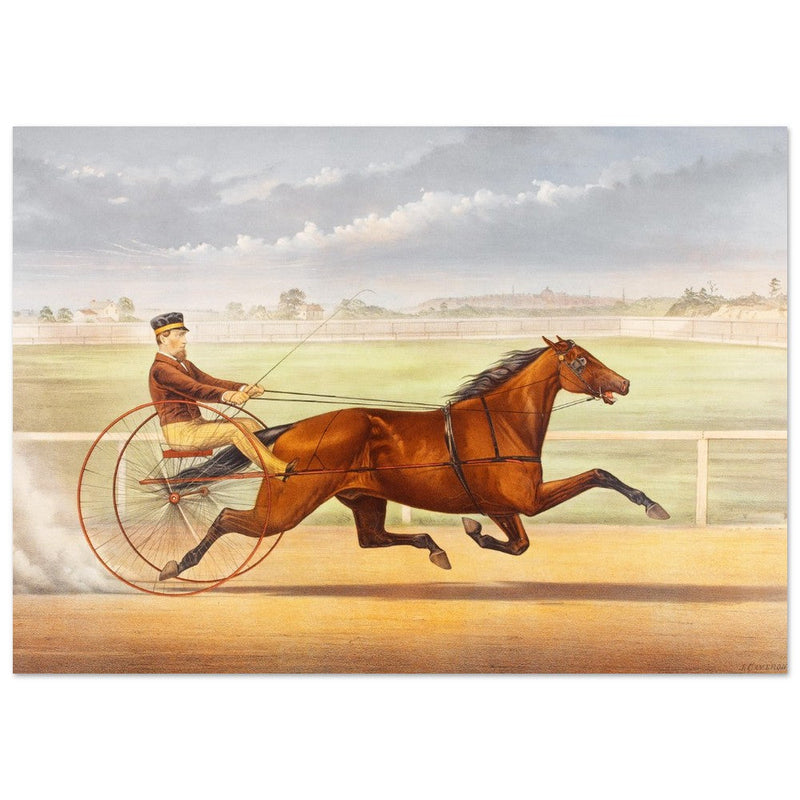 Harness horse racing lithograph. Mr. Bonner's Horse Joe Elliott by John Cameron.