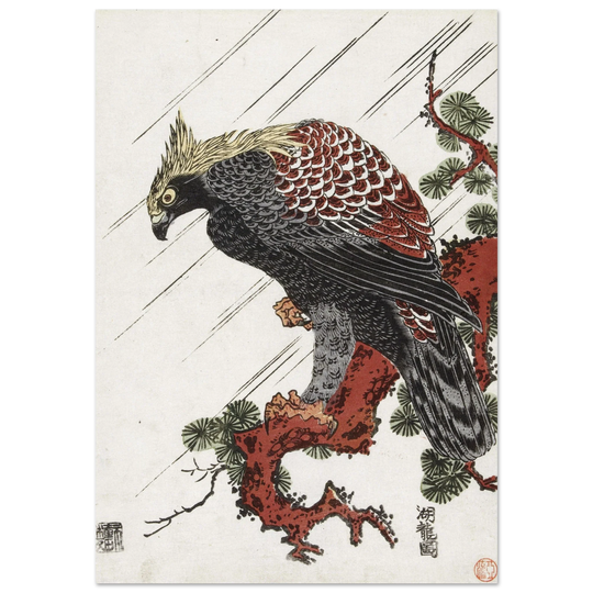 Eagle on pine branch in rain, by Isoda Koryusai
