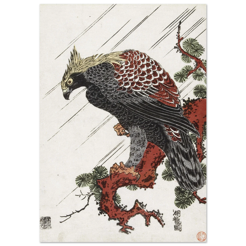 Eagle on pine branch in rain, by Isoda Koryusai