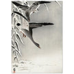 Two white-fronted geese in a snowy landscape by Ohara Koson.