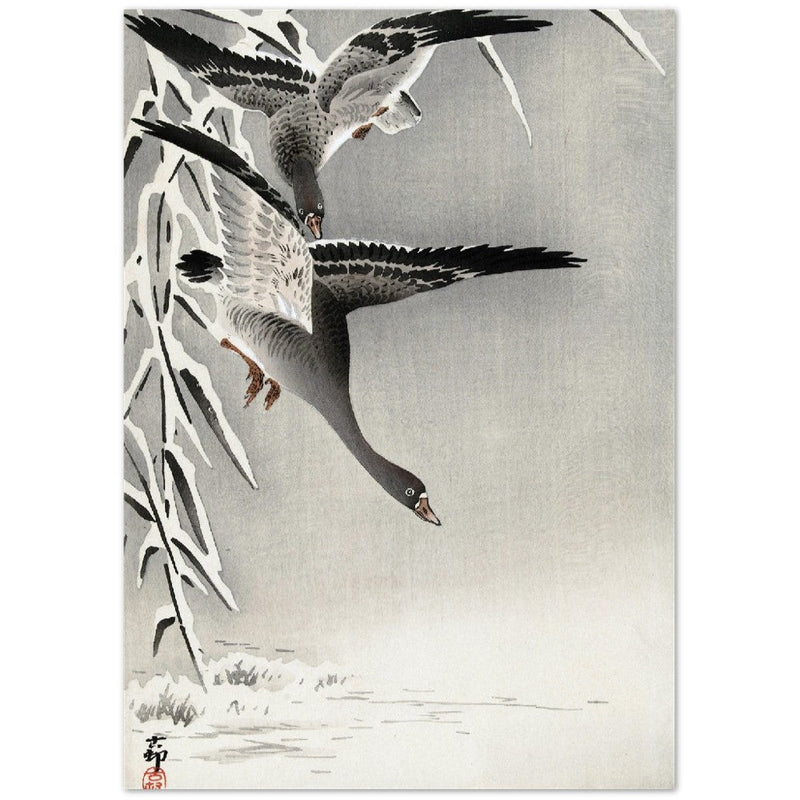 Two white-fronted geese in a snowy landscape by Ohara Koson.