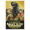 Sally of the Sawdust by D.W Griffith movie poster.