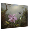 Cattleya Orchid with Two Brazilian Hummingbirds by Martin Johnson Heade