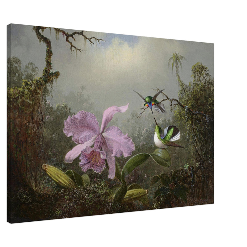 Cattleya Orchid with Two Brazilian Hummingbirds by Martin Johnson Heade