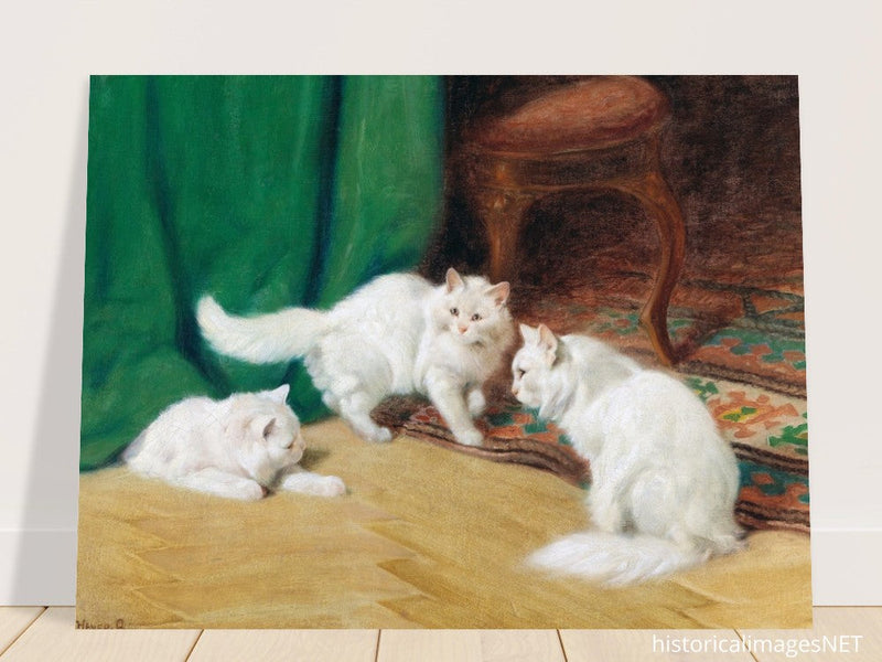 Three white cats playing old painting by Arthur Heyer.