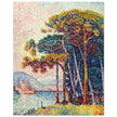 Paul Signac Antibes (la pinede) Pine trees painting
