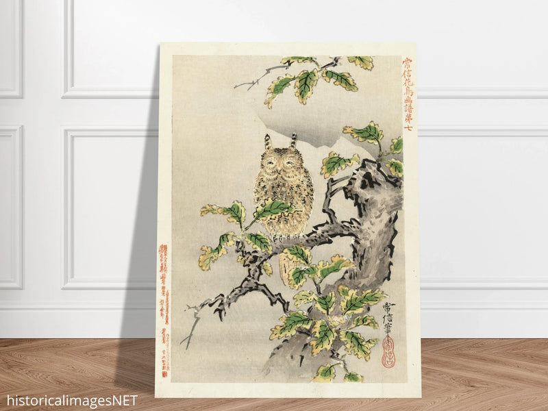 Owl on branch by Kano Tsunenobu, 1893.