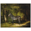 Zebra animal painting by George Stubbs.