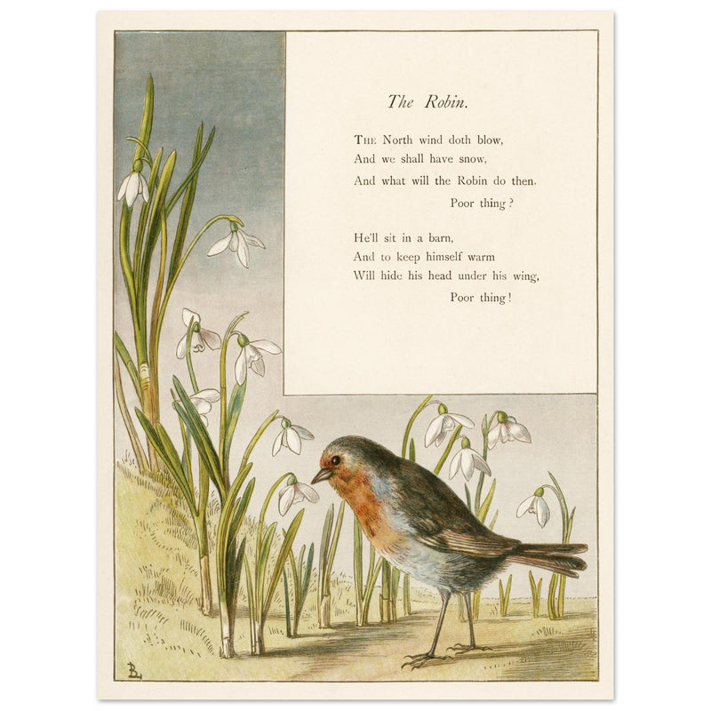 The Robin poem About Robins bird illustration by Lady Lindsay.