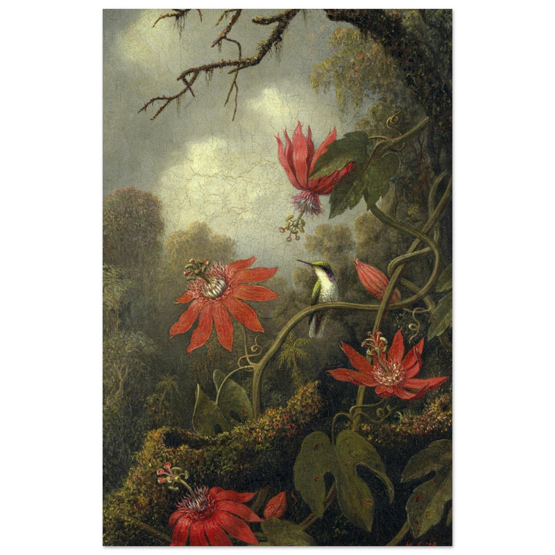 Hummingbird and Passionflowers by Martin Johnson Heade
