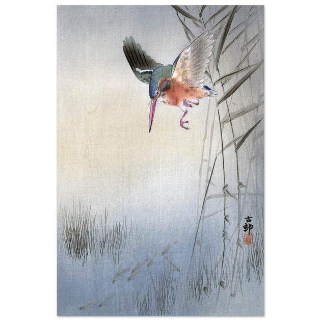 Kingfisher hunting fish by Ohara Koson  woodblock print