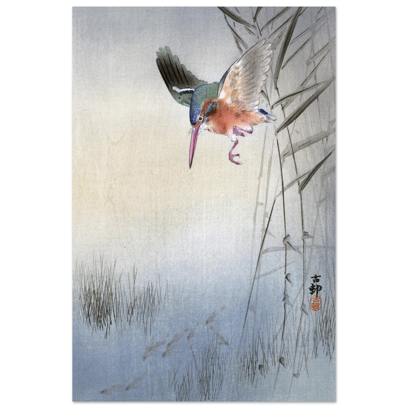 Kingfisher hunting fish by Ohara Koson  woodblock print