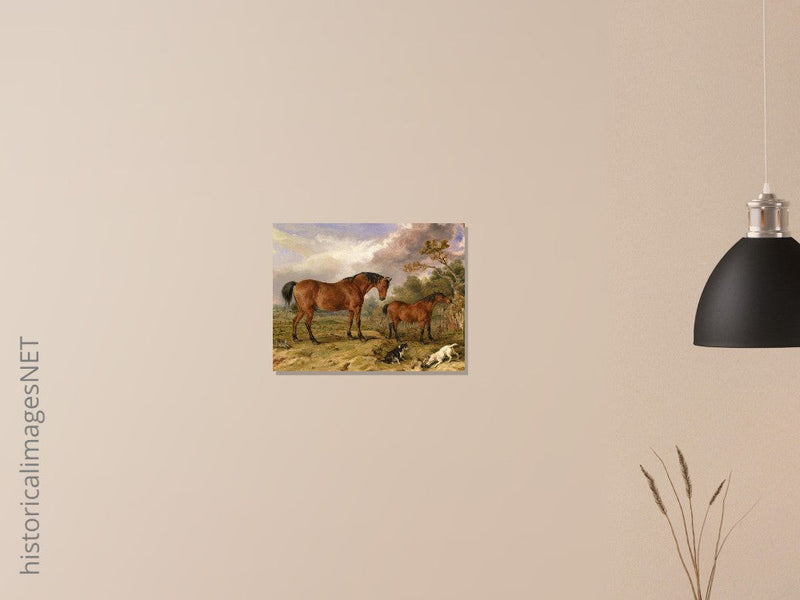 Old painting of horses by James Ward 1835. Portrait of Reformer, Blucher, Tory and Crib.