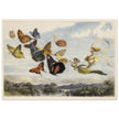 Richard Doyle illustration for Fairyland. The Fairy Queen in her carriage driven by butterflies.