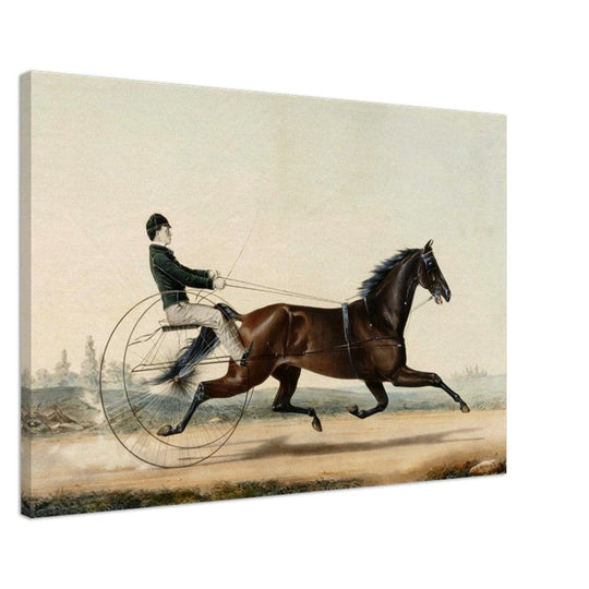 Racehorse Mac by  Nathaniel Currier 1853.