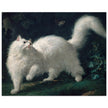 White Angora Cat painting by Jean-Jacques Bachelier poster