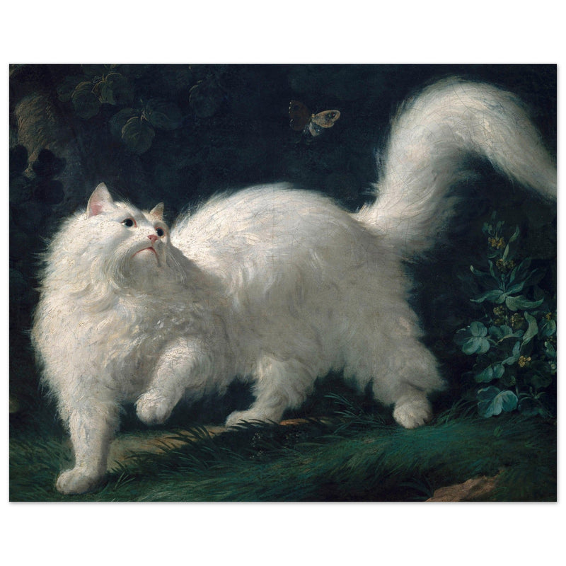 White Angora Cat painting by Jean-Jacques Bachelier poster