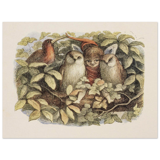 Richard Doyle illustration for Fairyland book. Elves and owls
