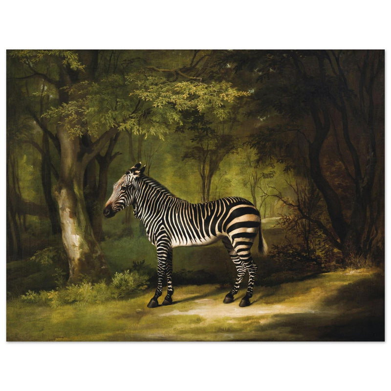 Zebra animal painting by George Stubbs.