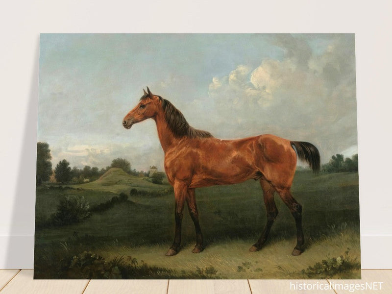 A Bay Horse in a Field by Edmund Bristow old painting 1825.