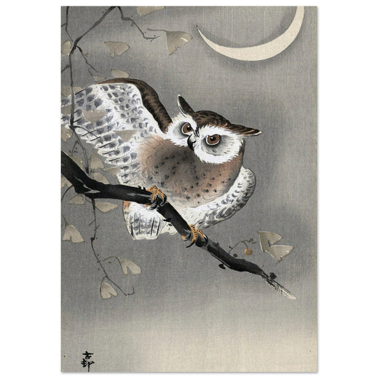 Long-eared owl in ginkgo by Ohara Koson, ,