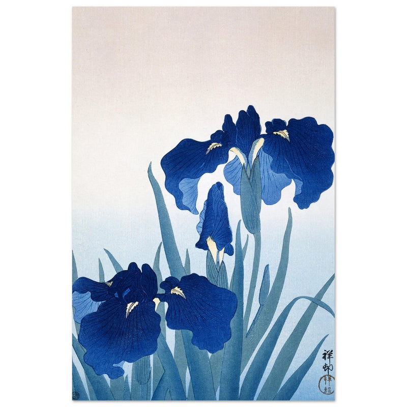 Irises by Ohara Koson Beautiful blue flowers woodblock painting in an