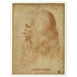 Portrait of Leonardo da Vinci by anonimous artist 1510-1530 .