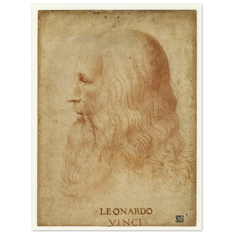 Portrait of Leonardo da Vinci by anonimous artist 1510-1530 .