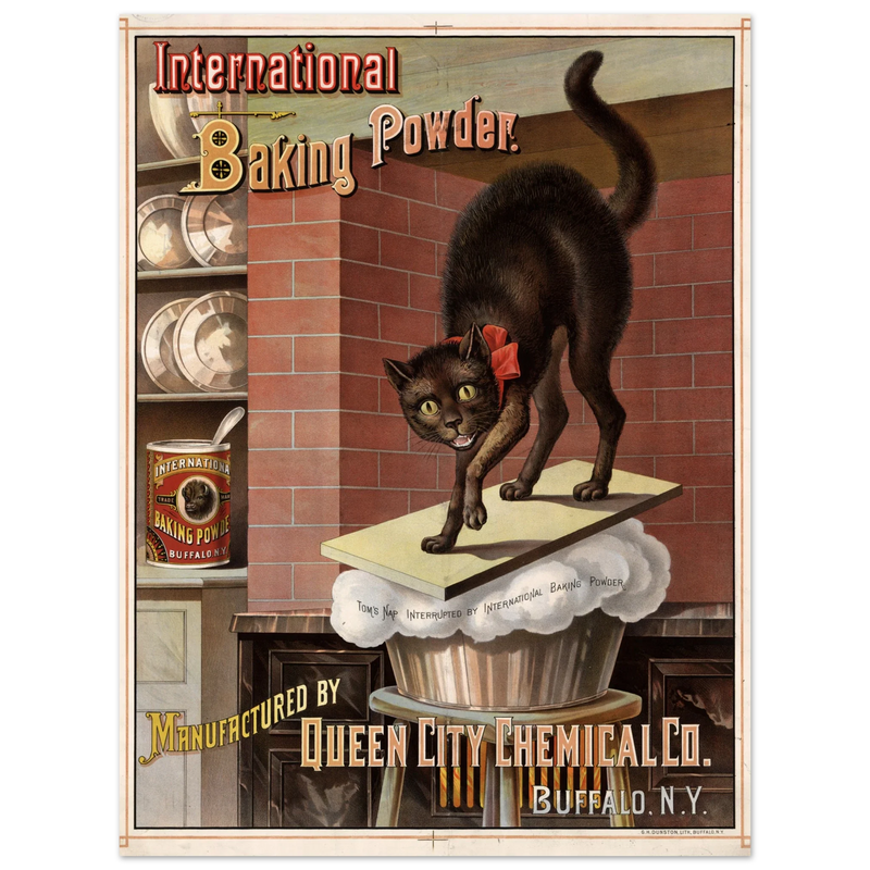 Vintage black cat Baking powder advertisement print 1885