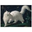 White Angora Cat painting by Jean-Jacques Bachelier poster