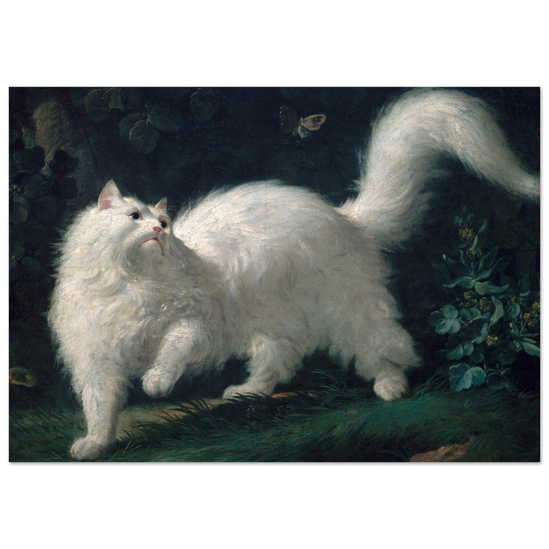 White Angora Cat painting by Jean-Jacques Bachelier poster