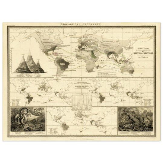 Reptile distribution old world map. Print  of zoology geography 1848 by Alexander Keith Johnston